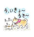柴犬と猫ちゃんの岡山弁スタンプ（個別スタンプ：27）