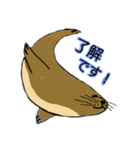 トドちゃんの日常（個別スタンプ：6）