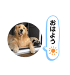 さぶと大福（個別スタンプ：2）