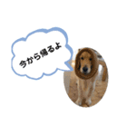 さぶと大福（個別スタンプ：5）