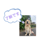 さぶと大福（個別スタンプ：9）
