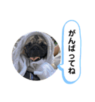 さぶと大福（個別スタンプ：11）