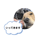 さぶと大福（個別スタンプ：14）