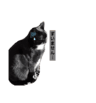 ねこたち③（個別スタンプ：6）