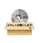 ちび子 2（個別スタンプ：7）