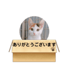 ちび子 2（個別スタンプ：10）