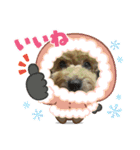 いちごワンだよ4（個別スタンプ：1）