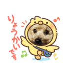 いちごワンだよ4（個別スタンプ：2）