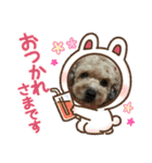 いちごワンだよ4（個別スタンプ：13）