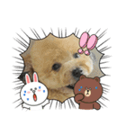 いちごワンだよ4（個別スタンプ：19）