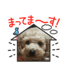 いちごワンだよ4（個別スタンプ：22）