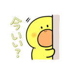 がーこちゃん（個別スタンプ：11）