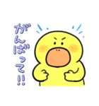 がーこちゃん（個別スタンプ：20）