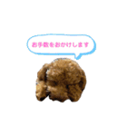 coco1004-3（個別スタンプ：2）