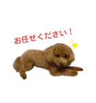 coco1004-3（個別スタンプ：6）