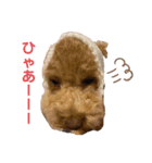 coco1004-3（個別スタンプ：7）