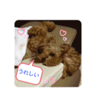 coco1004-3（個別スタンプ：16）