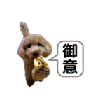 coco1004-3（個別スタンプ：17）