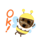coco1004-3（個別スタンプ：20）
