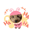 coco1004-3（個別スタンプ：21）