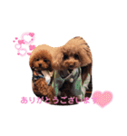 くぅ＆パール＆ふくスタンプ（個別スタンプ：2）