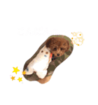くぅ＆パール＆ふくスタンプ（個別スタンプ：3）