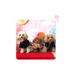 くぅ＆パール＆ふくスタンプ（個別スタンプ：4）