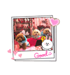 くぅ＆パール＆ふくスタンプ（個別スタンプ：7）