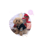 くぅ＆パール＆ふくスタンプ（個別スタンプ：10）