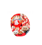 くぅ＆パール＆ふくスタンプ（個別スタンプ：13）