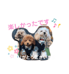 くぅ＆パール＆ふくスタンプ（個別スタンプ：16）