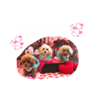 くぅ＆パール＆ふくスタンプ（個別スタンプ：21）