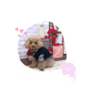 くぅ＆パール＆ふくスタンプ（個別スタンプ：22）