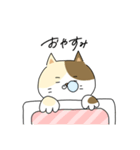 猫道にゃんた（個別スタンプ：31）