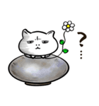 猫の湯【毎日つかえるネコ】（個別スタンプ：11）