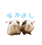 ちり助とカーリーFamily♡（個別スタンプ：16）