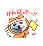 トラくん＆まゆちゃんスタンプ（個別スタンプ：26）