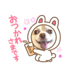 トラくん＆まゆちゃんスタンプ（個別スタンプ：27）