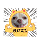 トラくん＆まゆちゃんスタンプ（個別スタンプ：32）