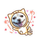 トラくん＆まゆちゃんスタンプ（個別スタンプ：33）
