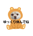トラくん＆まゆちゃんスタンプ（個別スタンプ：34）