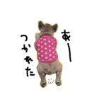 フレブル♡♡にっくん（個別スタンプ：12）
