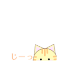 【毎日】真ん丸！白猫ちゃん×トラ猫くん（個別スタンプ：7）