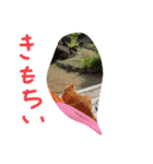 しぜんすたんぷ（個別スタンプ：3）
