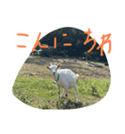しぜんすたんぷ（個別スタンプ：6）