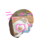 しぜんすたんぷ（個別スタンプ：7）