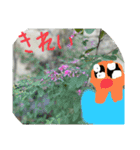 しぜんすたんぷ（個別スタンプ：9）