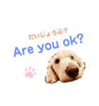 MAX おしゃべり犬（個別スタンプ：2）