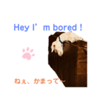 MAX おしゃべり犬（個別スタンプ：9）