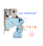 MAX おしゃべり犬（個別スタンプ：13）